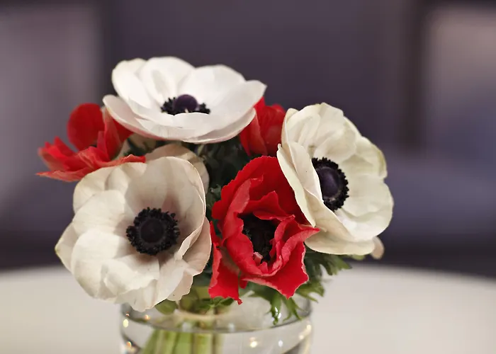 Splendid Etoile פריז