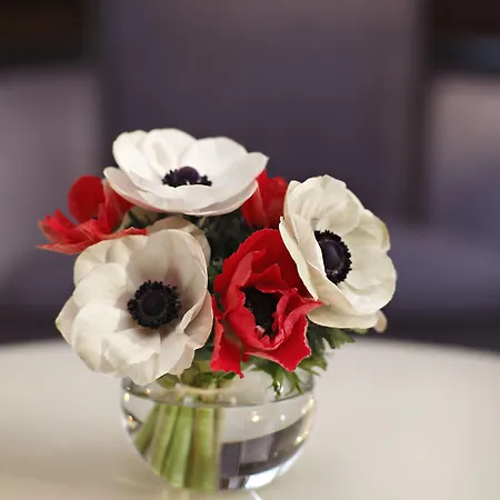 Splendid Etoile París